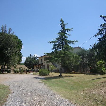Agriturismo Podere Selvette Campagnatico Eksteriør bilde