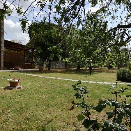 Agriturismo Podere Selvette Campagnatico Eksteriør bilde