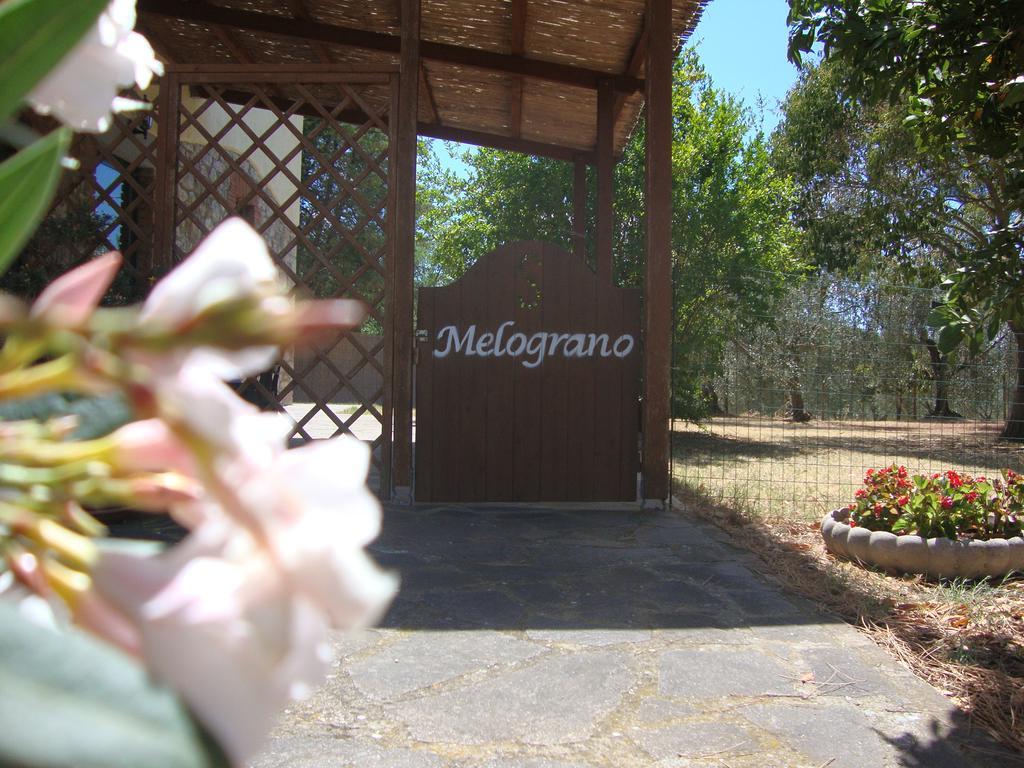 Agriturismo Podere Selvette Campagnatico Eksteriør bilde