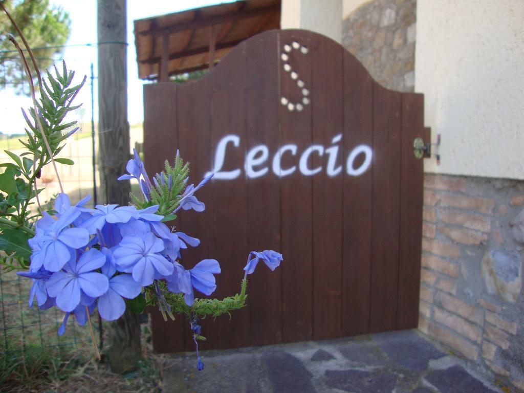 Agriturismo Podere Selvette Campagnatico Eksteriør bilde