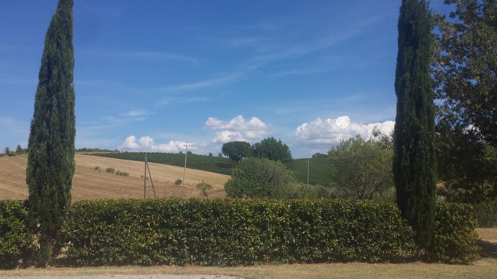 Agriturismo Podere Selvette Campagnatico Eksteriør bilde
