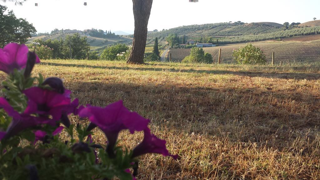 Agriturismo Podere Selvette Campagnatico Eksteriør bilde