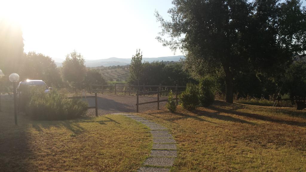 Agriturismo Podere Selvette Campagnatico Eksteriør bilde