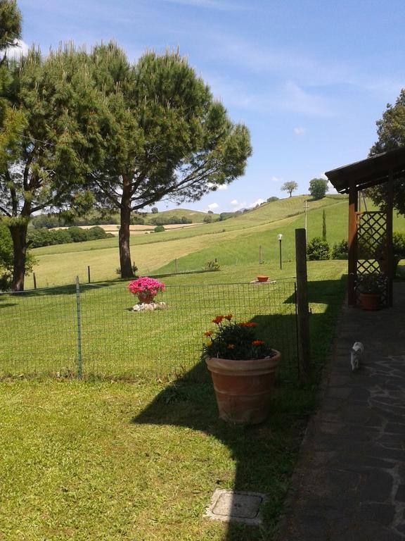 Agriturismo Podere Selvette Campagnatico Eksteriør bilde