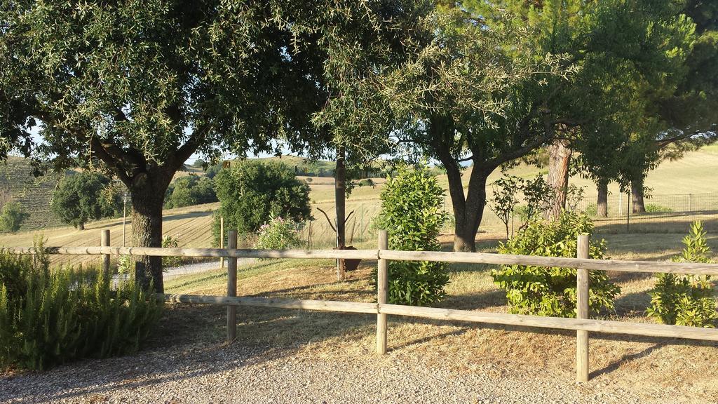 Agriturismo Podere Selvette Campagnatico Eksteriør bilde