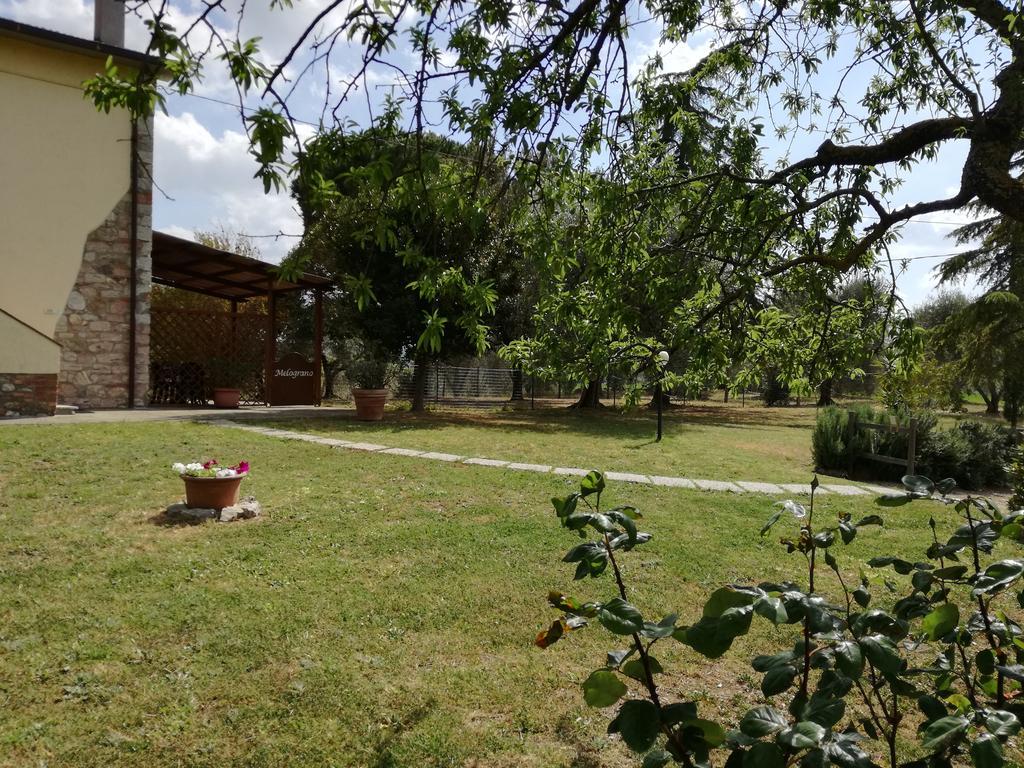 Agriturismo Podere Selvette Campagnatico Eksteriør bilde