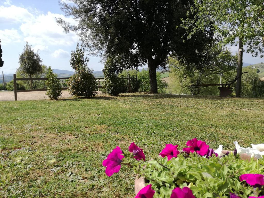 Agriturismo Podere Selvette Campagnatico Eksteriør bilde